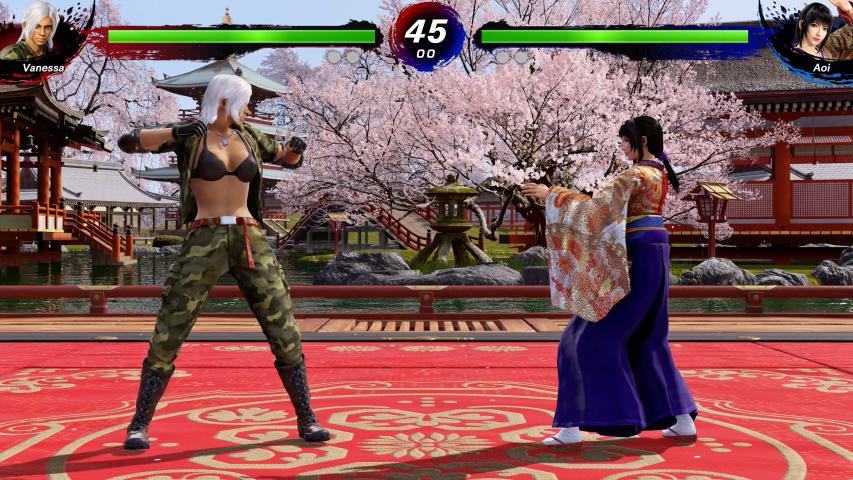 Virtua Fighter 5 R.E.V.O. World Stage screenshot 4