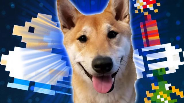 2024 begint met exclusief gesprek met top hond speedrunner