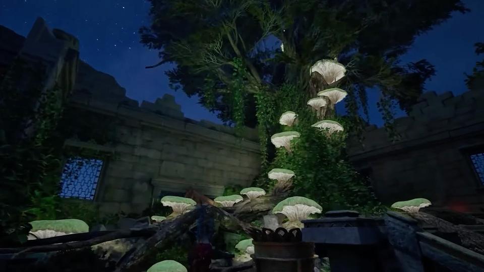 Avowed maakt indruk met epische gevechten en keuzes, komt uit op Xbox in herfst 24