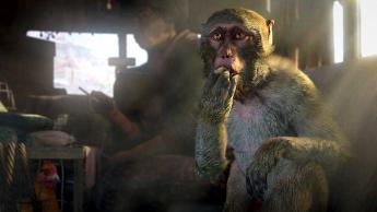 Ontdek hoe Oaty Treats onze game-ervaring voorgoed veranderde!