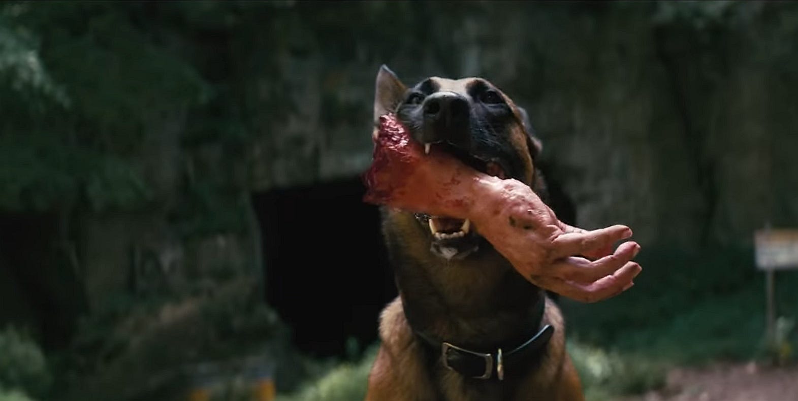 Fallout-gekte ontsteekt als nieuwe trailer wilde anticipatie opwekt voor de epische showrelease van Prime