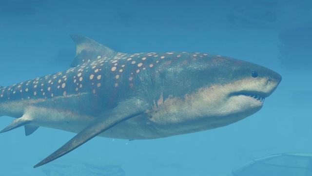 Mega ontdekking Megalodon duikt op in Jurassic World Evolution 3 en Dringende waarschuwing ontwijk de klappen