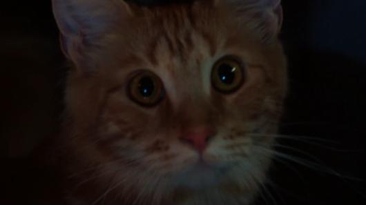 Nieuwe trailer Alien Earth brengt oude klassieker tot leven — Arme kat!