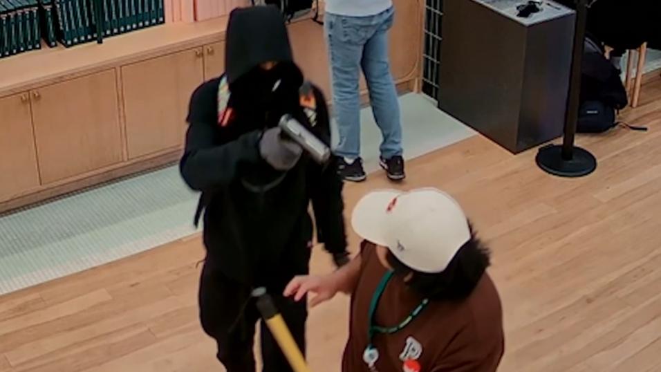 Pokémon kaartendieven slaan toe met buit van $100K en bedreigen winkelpubliek!