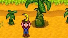 Stardew Valley maker biedt gratis samenwerkingen aan die je moet zien