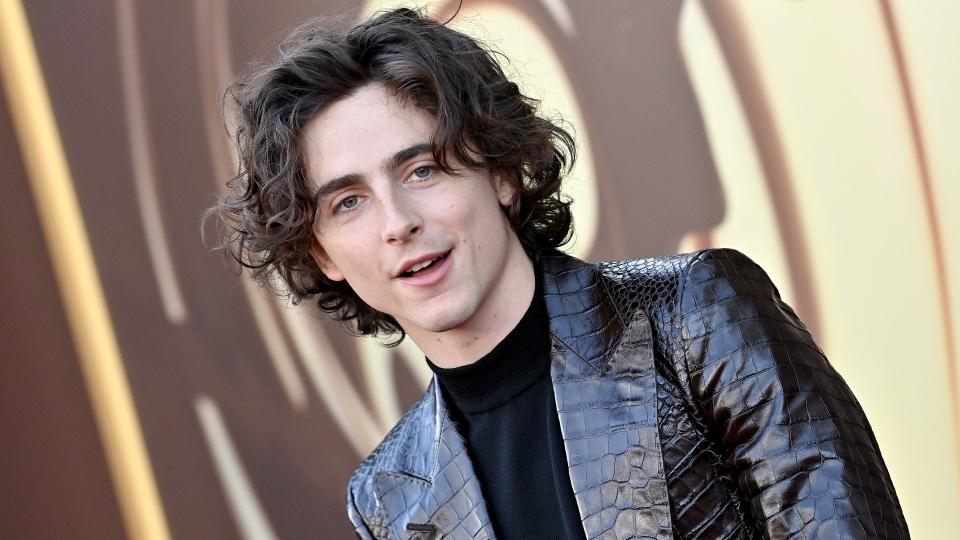 Timothée Chalamet kroont Spider-Man 2 als topkeuze, en is enthousiast over GTA 6