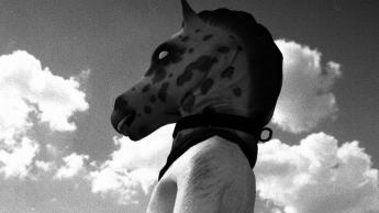 Ontketen de waarheid: onze review van Horses is er eindelijk