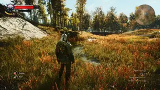 The Witcher 3: Wild Hunt — Remastered verdeelt spelers over graphics en ray tracing