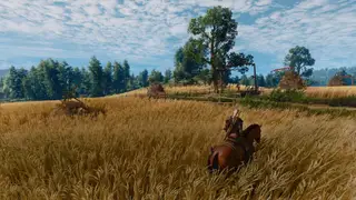The Witcher 3 Remastered: CD Projekt Red raadt HairWorks uit te zetten bij pc-prestatieproblemen