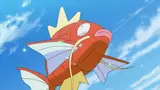 PokePark Fishing Contest DS Cartridge Verkocht Voor 9.505 Euro op eBay